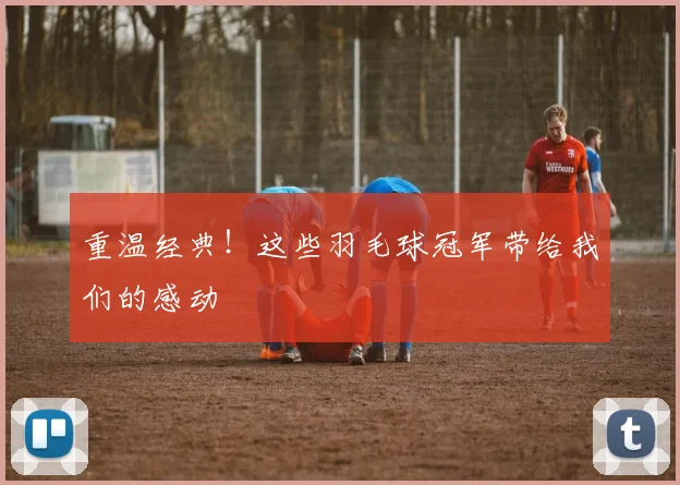 重温经典！这些羽毛球冠军带给我们的感动